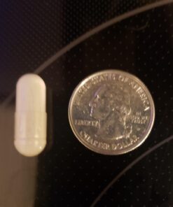 NATURELO One Daily Multivitamin for Men 50+ - with Vitamins & Minerals + Organic Whole Foods - Supplement to Boost Energy, General Health - Non-GMO - 60 Capsules - 2 Month Supply 60 Count (Pack of 1) 22 61rZc36NVmL