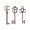 Aokbean Mixed Set of 30 Large Skeleton Keys in Antique Bronze - Set of 30 Keys Antique Copper 2 61rhpN0RhTL
