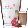 Baby Booster Chocolate Mocha Prenatal Vitamin Supplement and Protein Shake, Caffeine Free, All Natural, Vegetarian DHA, High Protein, Methyl Folate, B Vitamins, Great for Morning Sickness, 1 lb 1 Pound (Pack of 1)