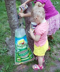 Wagner's 52002 Classic Blend Wild Bird Food, 10-Pound Bag 10 Pound (Pack of 1) 8 61rmlT lgBL