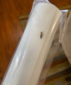 Oracal White Glossy 12" x 10 Ft 26 61roTanhvDL