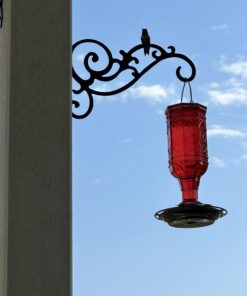 More Birds Red Jewel Hummingbird Feeder, Glass Hummingbird Feeders for Outdoors, 5 Feeding Stations, 20 Ounces Standard Packaging 32 61rr64zWDoL