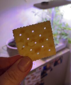 Amazon Fresh - Original Saltine Crackers, 16 oz (Previously Happy Belly, Packaging May Vary) 32 61rw1fCBIL