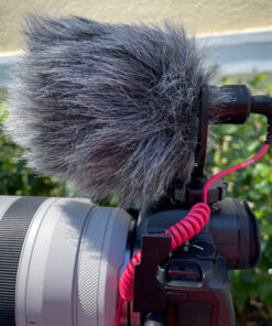 Rode VideoMicro Compact On-Camera Microphone with Rycote Lyre Shock Mount, Auxiliary, Black VideoMicro I 39 61rxiwOpBVL
