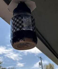 TERRO T380 Outdoor Reusable Fly Magnet Fly Trap - Poison Free Fly Killer and Trap with Bait 52 61rybqfS7DL