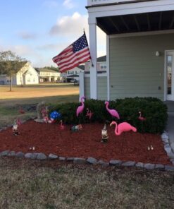 Fun Express Mini Pink Flamingos Yard Ornaments - Set of 6 Wind Spinner Flamingo Decor w/Twirling Wings 10 61rz7OPfZ L