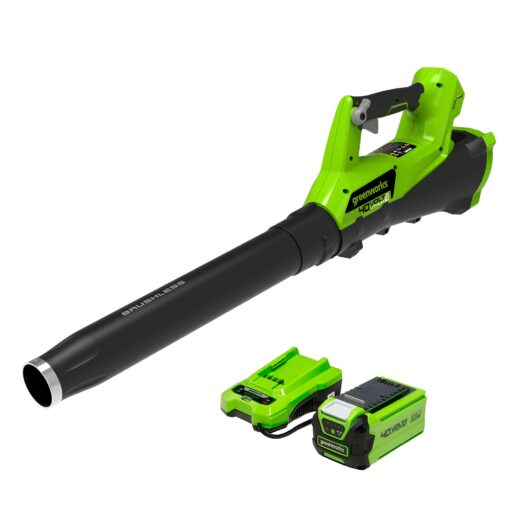 Greenworks 40V (115 MPH / 430 CFM) Brushless Axial Leaf Blower, 2.0Ah Battery and Charger Included Brushless Blower (2.0Ah) Axial Blower