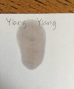 NOW Essential Oils, Ylang Ylang Extra Oil, Comforting Aromatherapy Scent, Steam Distilled, 100% Pure, Vegan, Child Resistant Cap, 1-Ounce 26 61sA4Oa0W1L