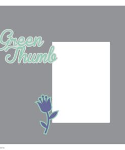 Cricut Family Album Cartridge 31 61sBFBIL8vL