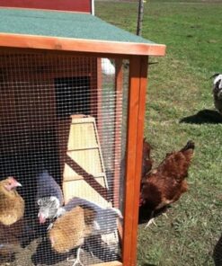 TRIXIE Pet Products Chicken Coop with Outdoor Run, 66.75 x 30.25 x 41.25 inches 66.8"L x 30.3"W x 41.3"H 44 61sFH3lF3L