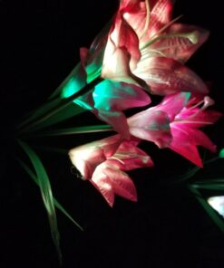 Outdoor Solar Garden Stake Lights - Doingart 2 Pack Solar Powered Lights with 8 Lily Flower, Multi-Color Changing LED Solar Decorative Lights for Garden, Patio, Backyard (Purple and White) Purple & White 24 61sJNfS3NL 3