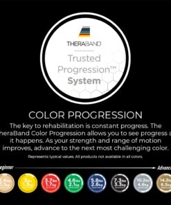 THERABAND Resistance Bands Set, Professional Elastic Band For Upper & Lower Body Exercise, Strength Training without Weights, Physical Therapy, & Pilates, Blue & Black & Silver, Advanced Non Latex Blue/Black/Silver - Super Advanced Set 12 61sPaoukPTL 5