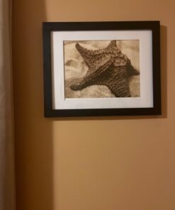 Rust-Oleum 334020 Painter's Touch 2X Ultra Cover Spray Paint, 12 oz, Flat Black 12 Ounce 51 61sPnkBiY9L