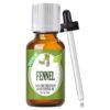 Healing Solutions 30ml Oils - Fennel Essential Oil - 1 Fluid Ounce 1 Fl Oz (Pack of 1) 12 61sQ AFLbL