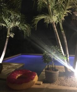 BigMouth Inc. Giant Pool Float Strawberry Frosted 42 61sQCHl9j7L