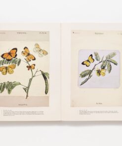The Butterflies of North America: Titian Peale's Lost Manuscript 15 61sYVXyPr4L