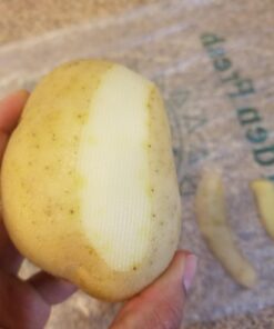 Precision Kitchenware - Ultra Sharp Stainless Steel Dual Julienne & Vegetable Peeler with Cleaning Brush & Blade Guard 22 61sZjTPePwL 1