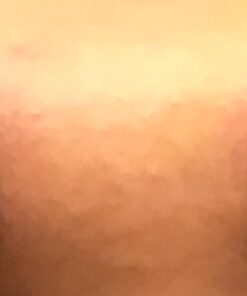 Chuse S12 50pcs Permanent Makeup Manual Eyebrow Tattoo Needle Microblading 12 Sloped Needles 20 61sdSx1cR1L