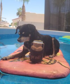 Bestway Power Steel 18' x 9' x 48" Rectangular Metal Frame Above Ground Outdoor Swimming Pool Set with 1,500 GPH Filter Pump, Ladder, and Pool Cover 18' x 9' x 48in 24 61smOplA0tL