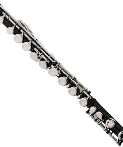 Mendini By Cecilio Flutes - Closed Hole C Flute For Beginners, 16-Key Flute with a Case, Stand, Lesson Book, and Cleaning Kit, Musical Instrument for Kids, Black Flute 13 61soM3BJJL 1