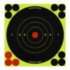 Birchwood Casey Bull's-Eye Reactive Targets - Highly Visible Instant Feedback Self-Adhesive Shooting Targets One Size 60 Targets, 720 Pasters 17 61sowFbmbxL
