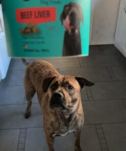 Stewart Freeze Dried Dog Treats, Beef Liver, Grain Free & Gluten Free, 14 Ounce Resealable Tub, Single Ingredient, Made in USA, Dog Training Treats 14 Ounce (Pack of 1) 36 61t5Wa137OL 1