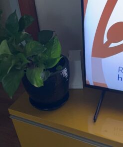 Gryphon AX – Ultra-Fast Mesh WiFi 6 Parental Control Router – Advanced Content Filters and Next-Gen Firewall - 4.3 Gbps Across 3,000 sq. ft. per Router for Multi-Device Households 1 Pack 36 61t6vaXT31L