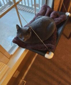 Kitty Cot Original World's Best Cat Perch (Large) Black Color Kitty Cot Large 39 61tCfDiaWL