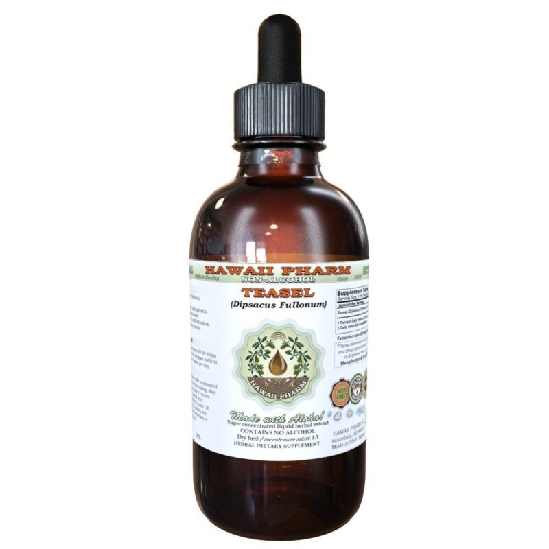 Teasel Alcohol-Free Liquid Extract, Teasel (Dipsacus fullonum) Dried Root Glycerite Natural Herbal Supplement, Hawaii Pharm, USA 2 fl.oz 2 Fl Oz (Pack of 1)