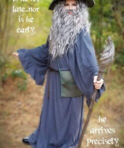 Rubie's Gandalf Staff One Size 27 61tP85 gMeL