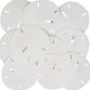 Tumbler Home White Sand Dollars 3"-3.5" - 10pcs - Wedding Seashell Craft Sandollars- Hand Picked and Professionally Packed 3 61tV24yARYL