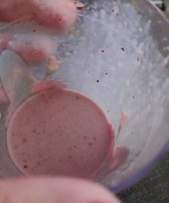 Baby Booster Tahitian Vanilla Prenatal Vitamin Supplement and Protein Shake, Caffeine Free, All Natural, Vegetarian DHA, High Protein, Methyl Folate, B Vitamins, Great for Morning Sickness, 1 lb 29 61tYlMCAD L