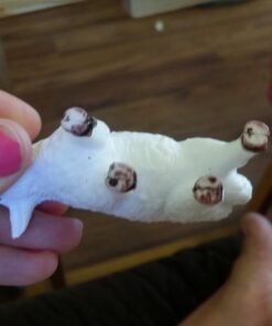 SCS Direct Farm Animal Toy Action Figure Set - 50 Pieces with 16 Different Barnyard Animals and Accessories - Includes Cows, Horses, Chickens, Pigs, Sheep & More - Great for School Projects & Dioramas 31 61tmHWYhbZL