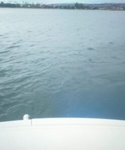 Jiawill 316L Stainless Steel Underwater 1/2" NPT 9 to 30V 27w Boat Drain Plug Light with Internal Driver and Overheat Protection 3 Years Warranty (Blue) Blue 36 61tnDZSaByL