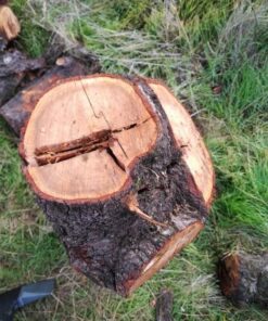 Fiskars X25 Splitting Axe, 28-Inchy, Black X25 Splitting Axe (Original) 49 61tv6dUu3CL