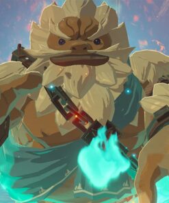 The Legend of Zelda: Breath of the Wild - US Version Nintendo Switch Standard 34 61tweJWS5WL