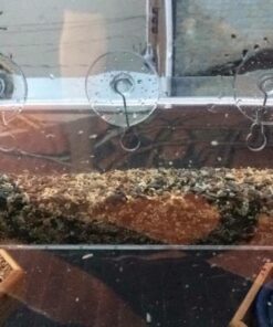 Tranquil Outdoors Large Acrylic Window Bird Feeder: Strong Removable Suction Cup Mounted Outdoor Bird House Feeder, Clear Birdfeeders for Large & Small Birds. Best See Thru Feeder for Bird Watching 62 61tzFIVbs9L