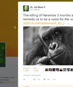 Harambe: Never Forget 1999-2016 Memorial Bumper Sticker & Free Magnetizer. He Died For Our Sins. RIP in Peace You Glorious Gorilla. Honor Our Lord & Savior with a Durable Vinyl Window & Laptop Decal. 10 61u0Kj9eKL