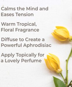 Plant Therapy Ylang Ylang Complete Essential Oil 100% Pure, Undiluted, Natural Aromatherapy, Therapeutic Grade 10 mL (1/3 oz) 0.34 Fl Oz (Pack of 1) 8 61u2cFMgfUL 1