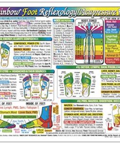 Rainbow® FOOT Reflexology/ Acupressure Massage CHART in the Inner Light Resources Rainbow® Cards & Charts Series. 8.5 x 11 in; 2-sided (Small Poster/ Large Card) 13 61u6Fx0DJUL