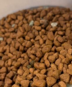 Blue Buffalo Small Breed Dog Food, Life Protection Formula, Natural Chicken & Brown Rice Flavor, Adult Dry Dog Food, 15 lb Bag 15 Pound (Pack of 1) 39 61u8LPUvx5L