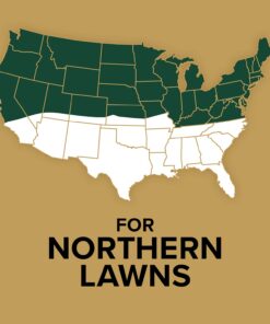 Scotts EZ Seed Patch and Repair Sun and Shade for Grass: Covers up to 225 sq. ft., 10 lb. 10 lb. 1 Pack 42 61uJ5d4MH8L