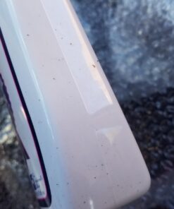 Exhibitor's Quic Braid for Total Mane & Tail Control 16 oz Spray 14 61uNJm2kIUL