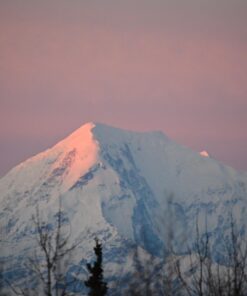 Nikon Z7 Full-Frame Mirrorless Interchangeable Lens Camera with 45.7MP Resolution, Body, Black, 1591 Body Only Base 33 61uP9VbXPsL