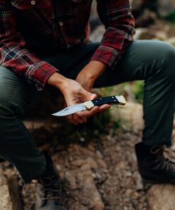 Buck Knives 110 Folding Hunter Lock-back Knife, Brass Bolsters, Ebony Handles, 3-3/4" 420HC Blade with Leather Sheath Classic 3.75" 33 61uQMdlmJvL