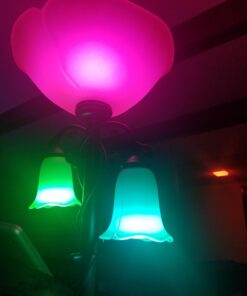 Philips Hue White and Color Ambiance A19 60W Equivalent Dimmable LED Smart Bulb (1 Bulb Compatible with Amazon Alexa Apple HomeKit and Google Assistant) 45 61uTtWe9BdL