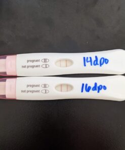 Progesterone Cream for Women 2000mg | Bioidentical from Wild Yam, Dermatologist-Tested | for Menopause & Menstrual Support | Micronized USP, Paraben-Free & Soy-Free Topical ProgestoLife (96 Servings) Progesterone Cream 41 61uW9p8VB4L