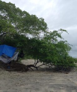 Grizzly Tarps by B-Air 8' x 10' Large Multi-Purpose Waterproof Heavy Duty Poly Tarp with Grommets Every 36", 8x8 Weave, 5 Mil Thick, for Home, Boats, Cars, Camping, Protective Cover, Blue 8' x 10' 56 61uYEdGktL