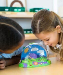 Insect Lore Live Ladybug Growing Kit Toy -unisex-children Original Ladybug Land 30 61uc27lISpL