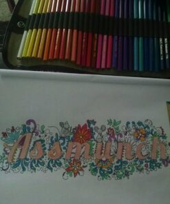 I Am Sick of This S**t Paperback, Large Print 23 61ucOVO93YL